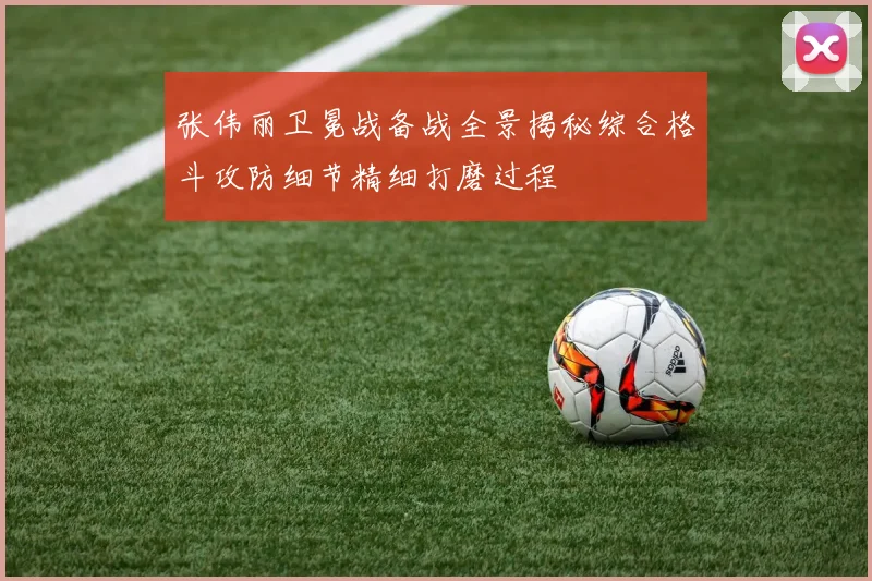 张伟丽卫冕战备战全景揭秘综合格斗攻防细节精细打磨过程