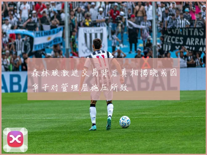 森林狼激进交易背后真相揭晓或因华子对管理层施压所致