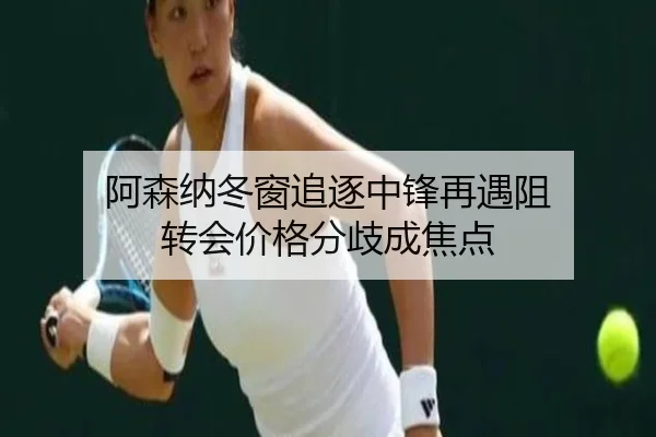 阿森纳冬窗追逐中锋再遇阻 转会价格分歧成焦点